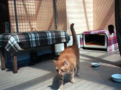 Bild: Die Katzenanlage Au�en